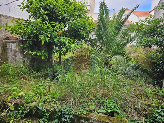 Prédio para Venda em Caldas da Rainha - Santo Onofre e Serra do Bouro Foto 5