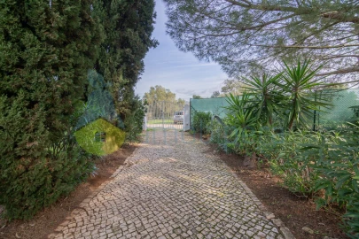 Moradia T4 para Venda em Silves