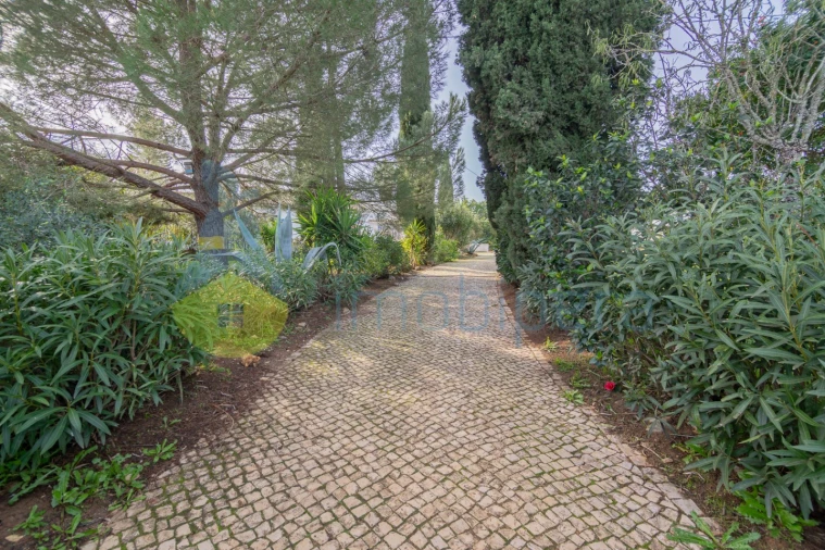 Moradia T4 para Venda em Silves Foto 5