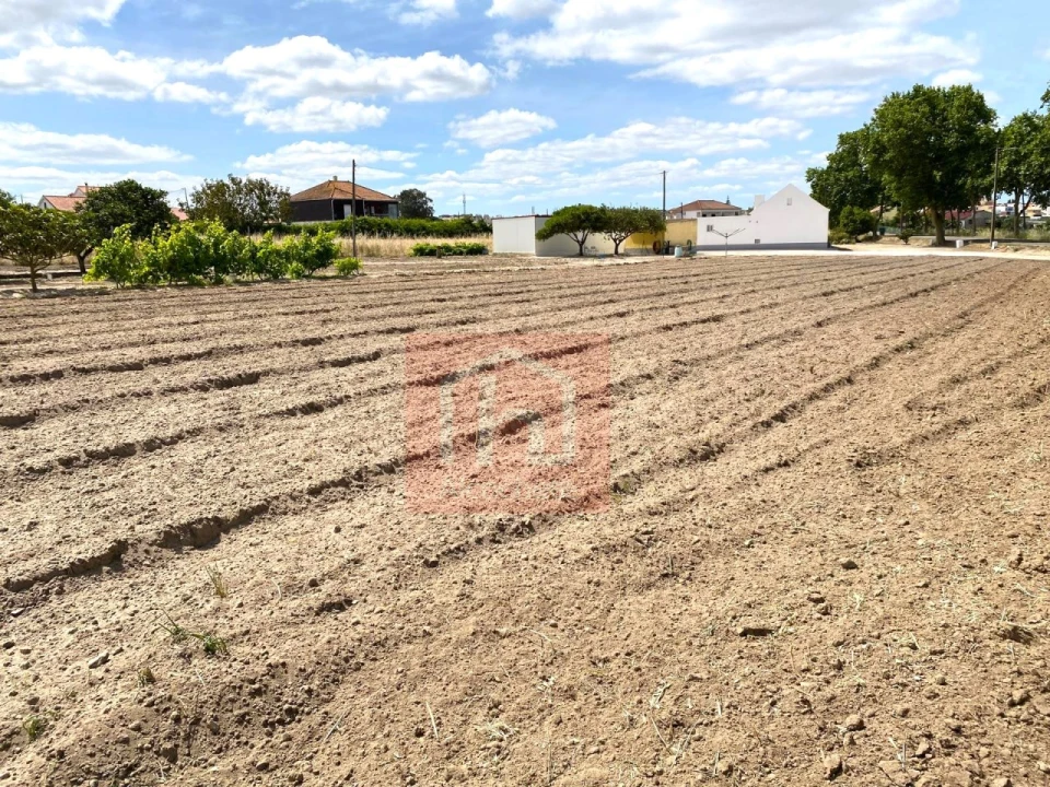 Terreno para Venda em São Francisco Foto 4
