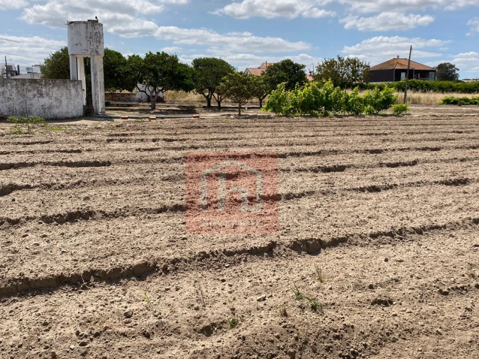 Terreno para Venda em São Francisco Foto 7
