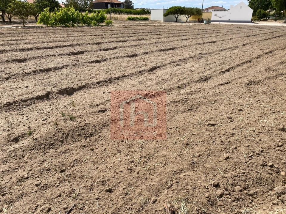 Terreno para Venda em São Francisco Foto 8
