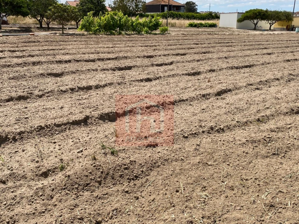 Terreno para Venda em São Francisco Foto 11