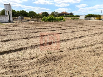 Terreno para Venda em São Francisco