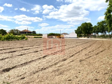 Terreno para Venda em São Francisco