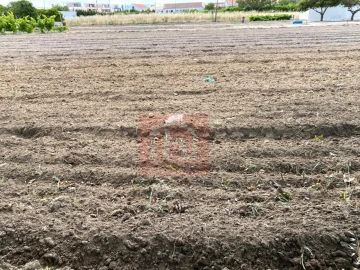 Terreno para Venda em São Francisco