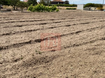 Terreno para Venda em São Francisco