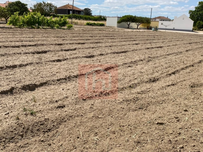 Terreno para Venda em São Francisco Foto 6