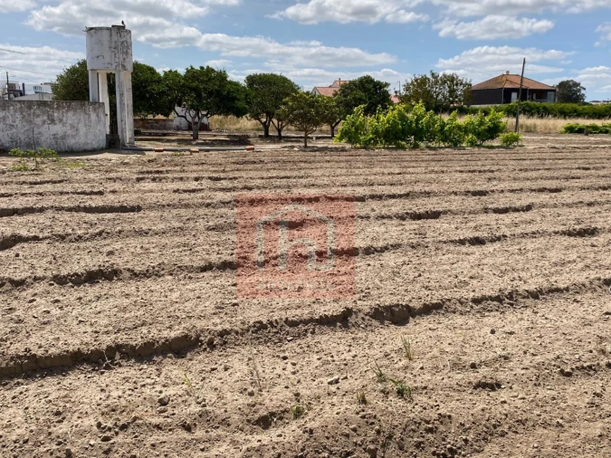 Terreno para Venda em São Francisco Foto 7
