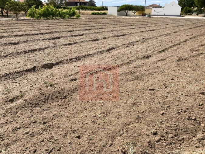 Terreno para Venda em São Francisco Foto 8