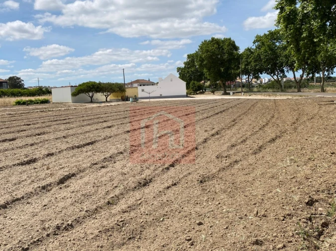 Terreno para Venda em São Francisco Foto 9