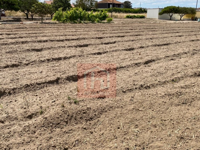 Terreno para Venda em São Francisco Foto 11