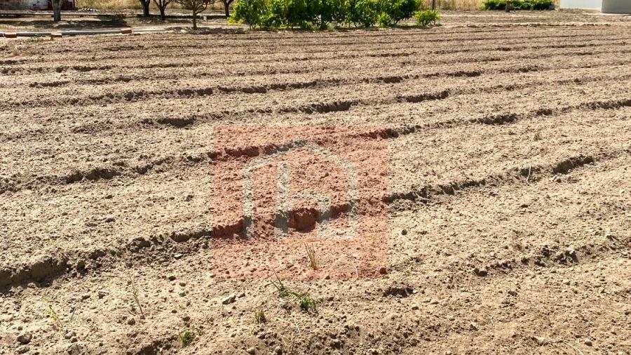 Terreno para Venda em São Francisco