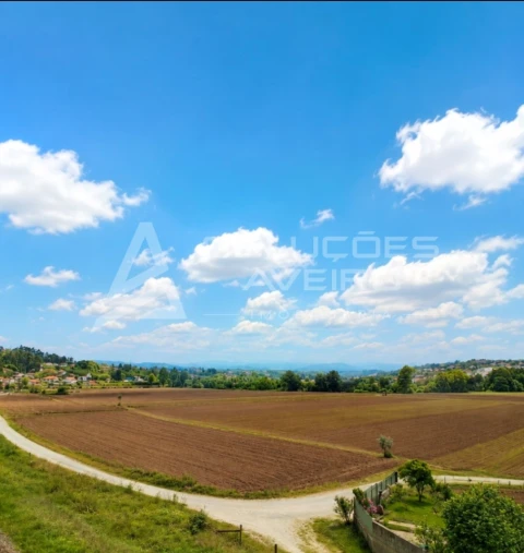 Terreno para Venda em Recardães e Espinhel
