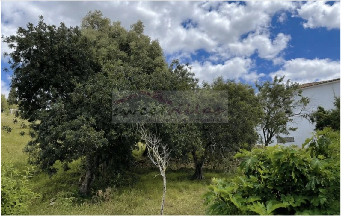 Terreno para Venda em Paderne Foto 9