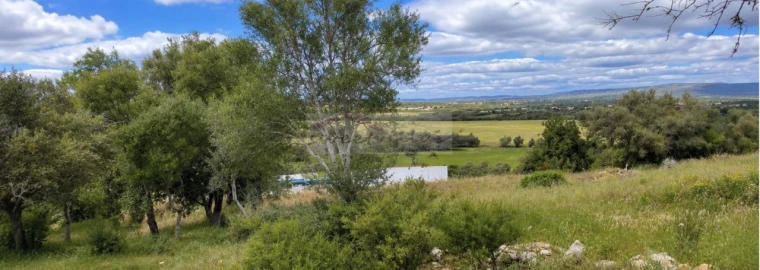 Terreno para Venda em Paderne