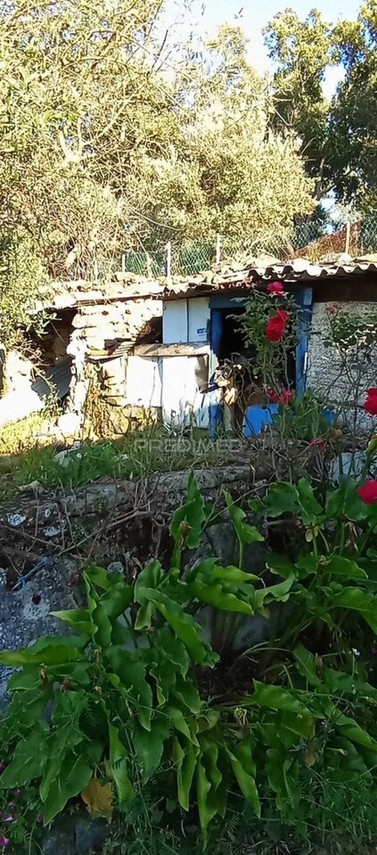 Moradia T2 para Venda em Urra Foto 11