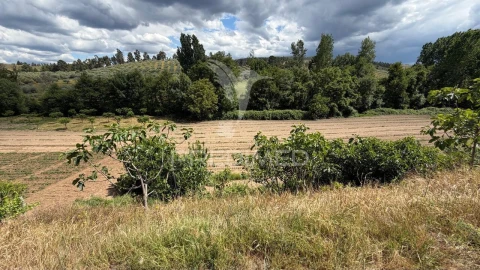 Terreno para Venda em Torre de D. Chama