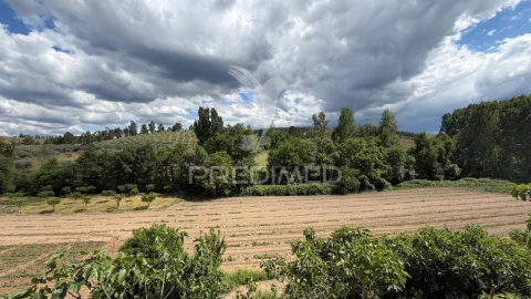 Terreno para Venda em Torre de D. Chama