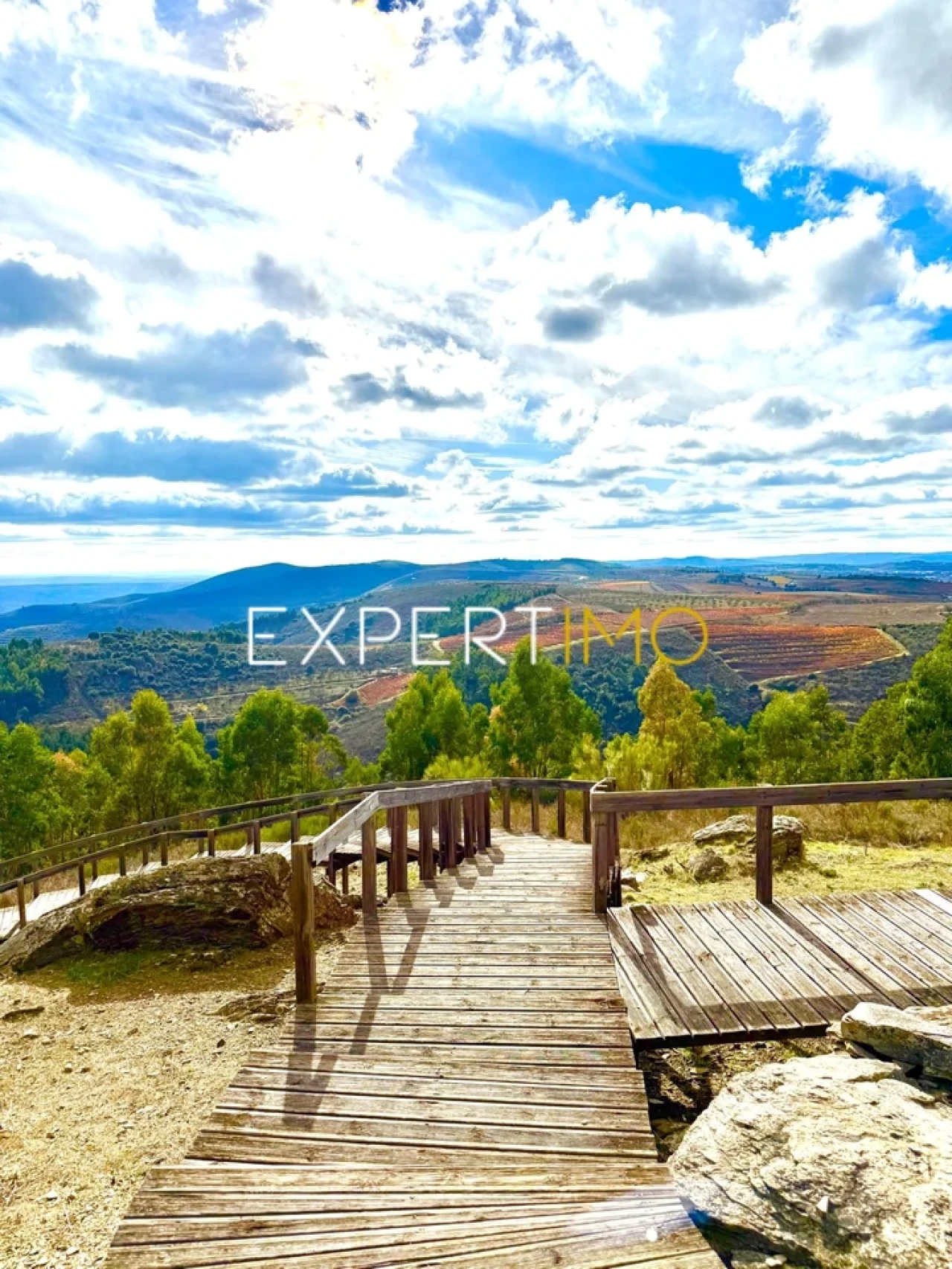 Moradia T2 para Venda em Vila Nova de Foz Côa Foto 31