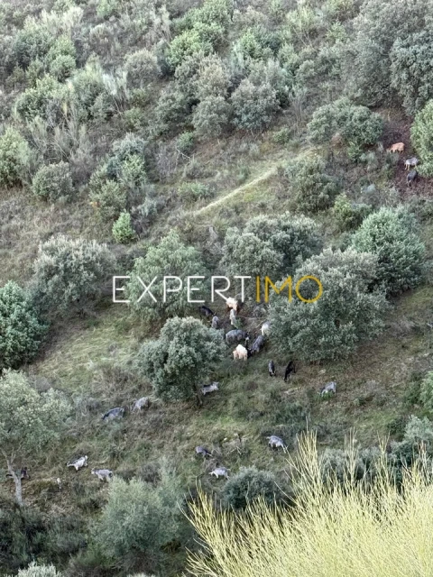 Moradia T2 para Venda em Vila Nova de Foz Côa