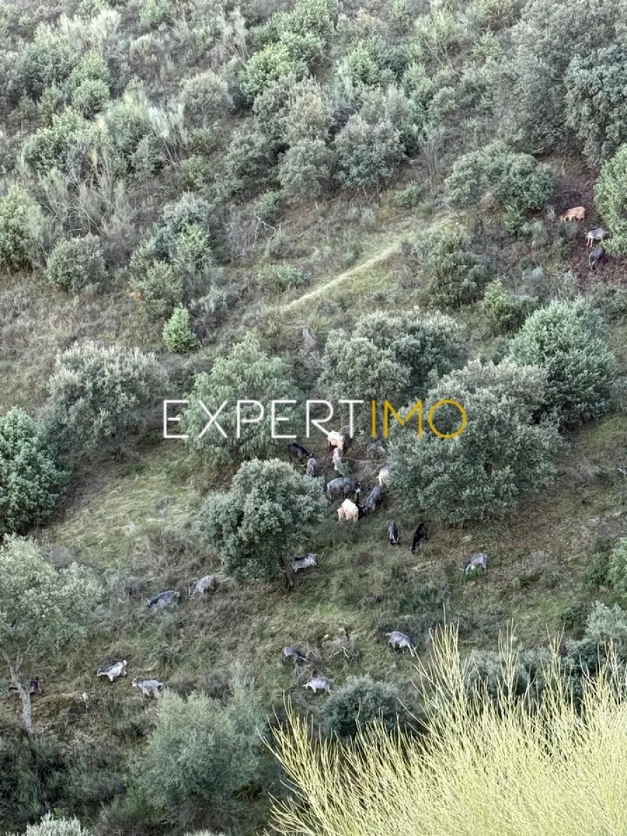 Moradia T2 para Venda em Vila Nova de Foz Côa Foto 27