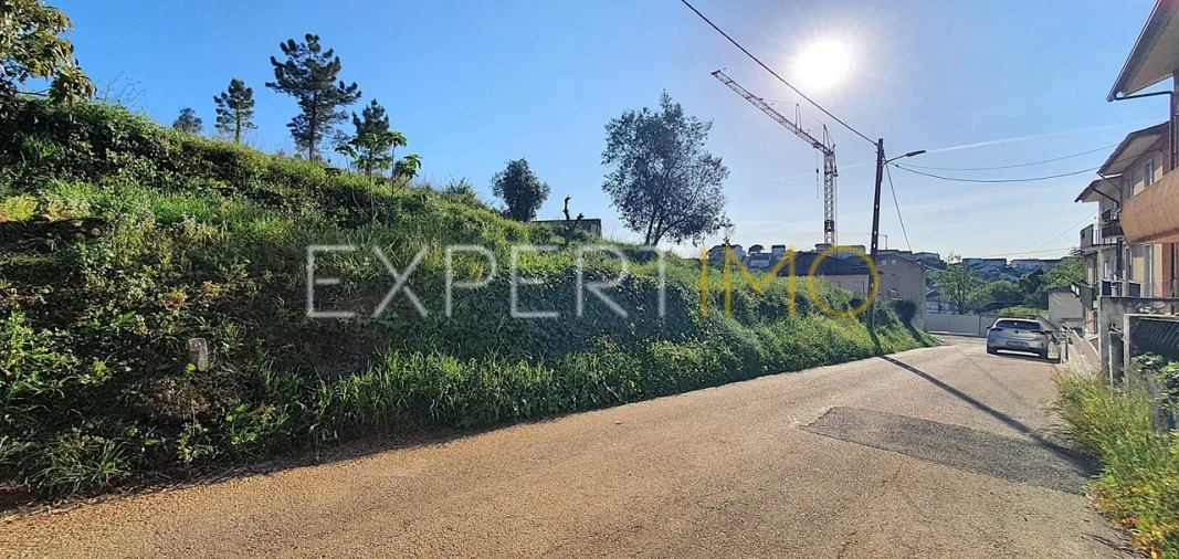 Terreno para Venda em Santa Clara e Castelo Viegas Foto 7