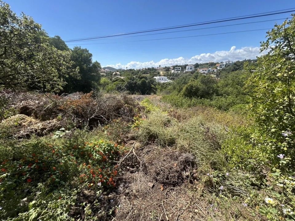 Terreno para Venda em Almancil Foto 5