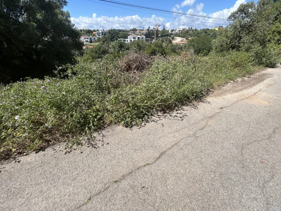 Terreno para Venda em Almancil Foto 10