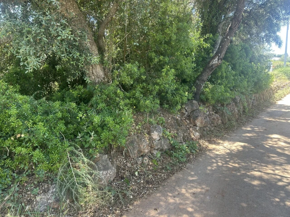 Terreno para Venda em Almancil Foto 4
