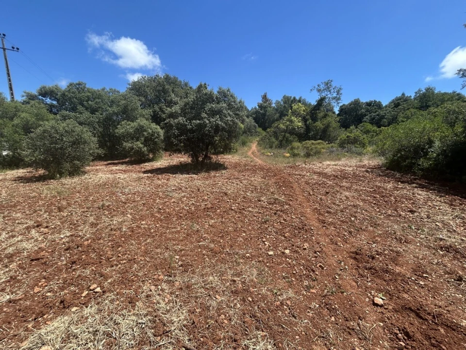 Terreno para Venda em Almancil Foto 7