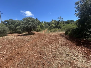 Terreno para Venda em Almancil