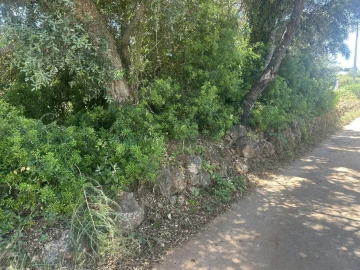 Terreno para Venda em Almancil