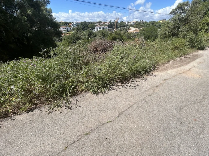 Terreno para Venda em Almancil Foto 10