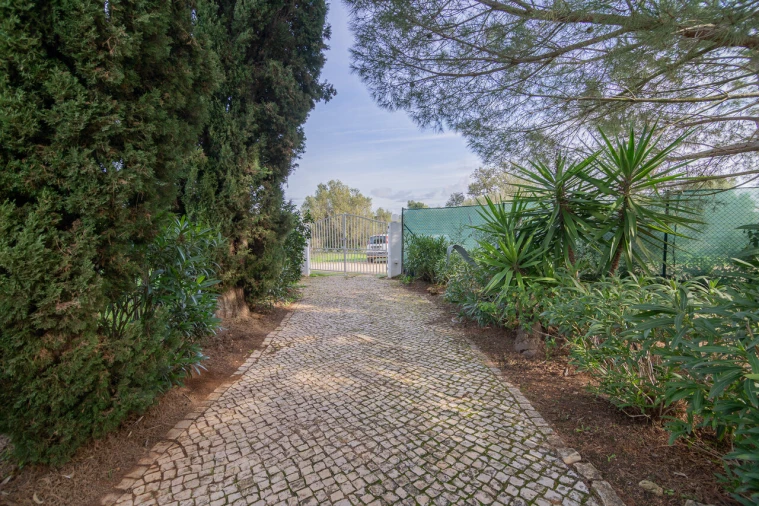 Moradia T4 para Venda em Silves Foto 6