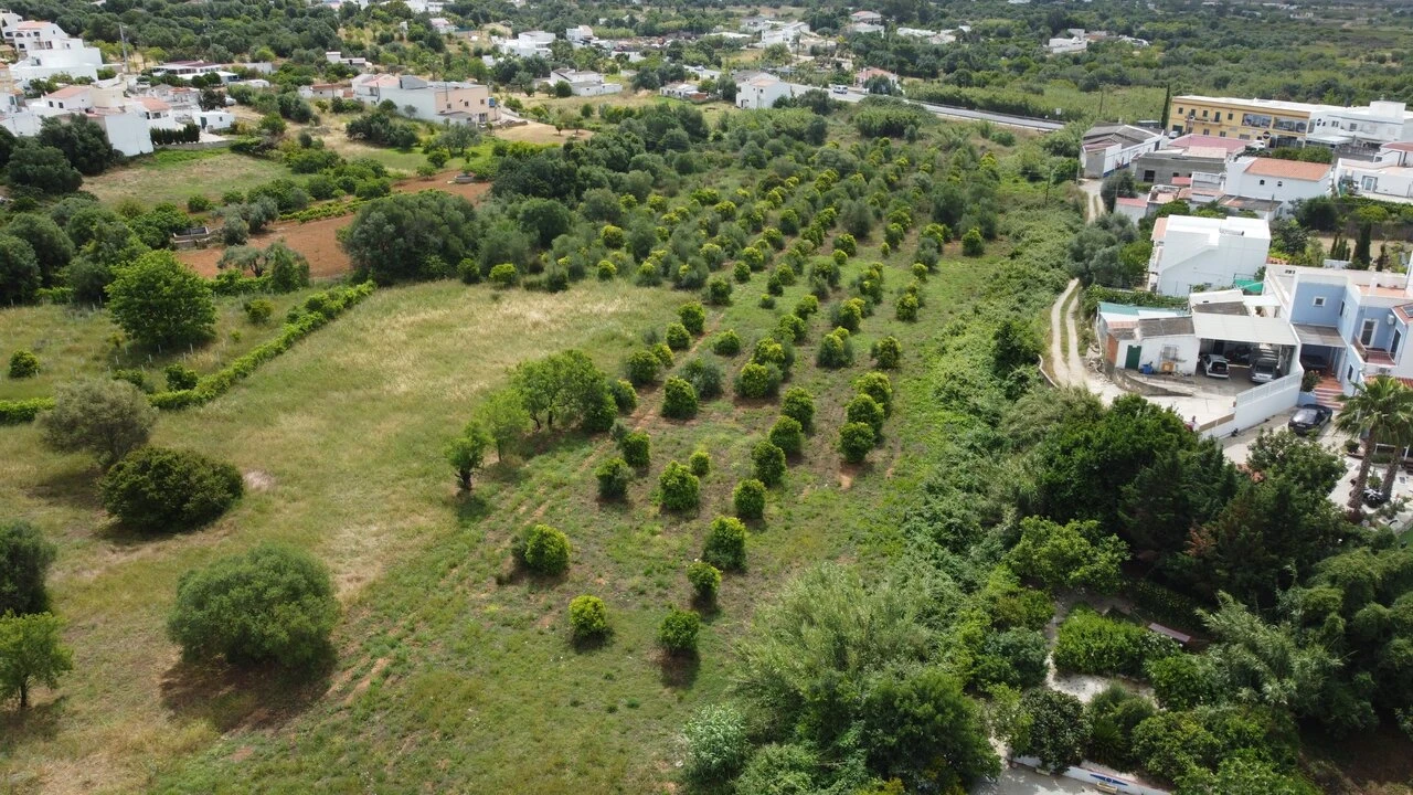 Terreno para Venda em Moncarapacho e Fuseta Foto 3