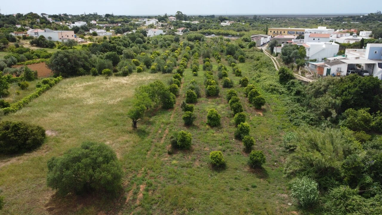 Terreno para Venda em Moncarapacho e Fuseta Foto 1