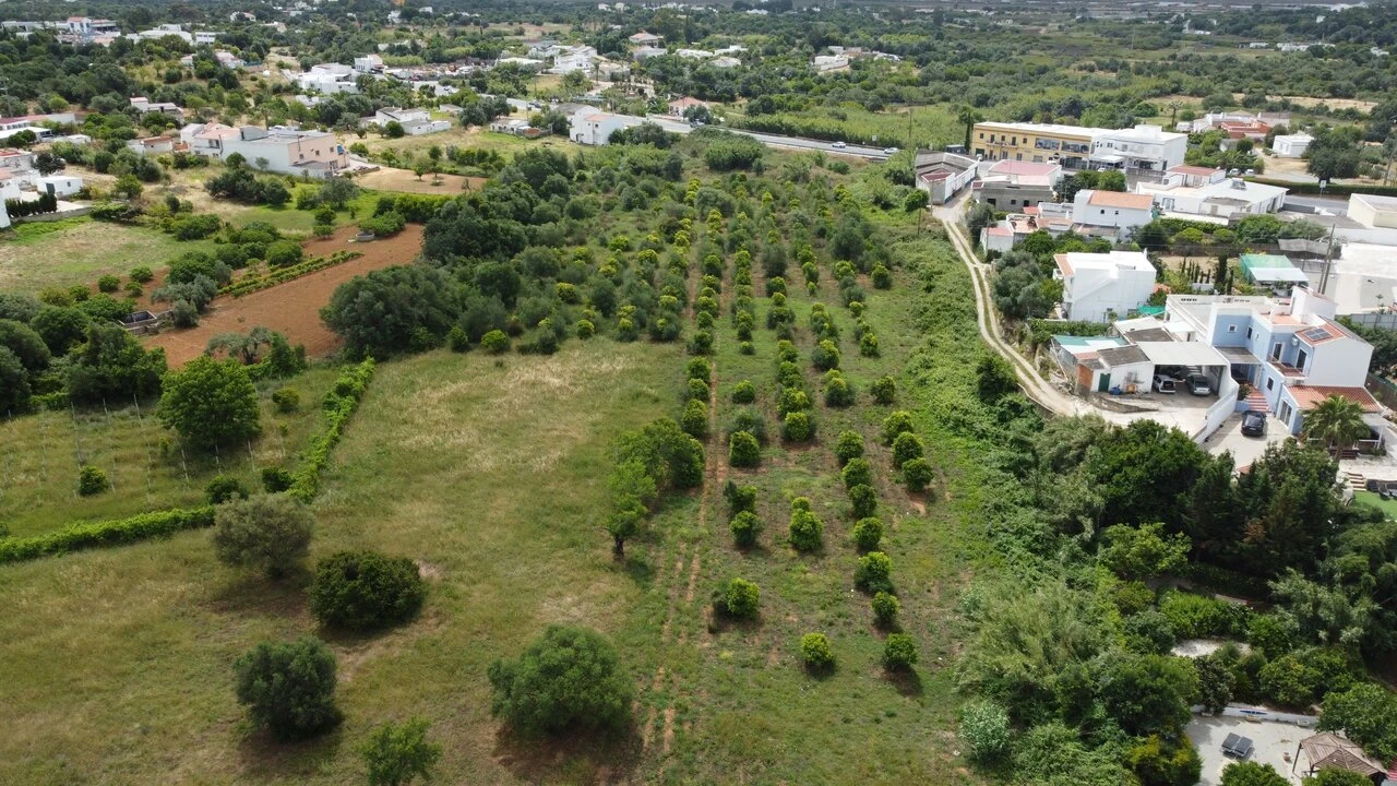 Terreno para Venda em Moncarapacho e Fuseta Foto 4