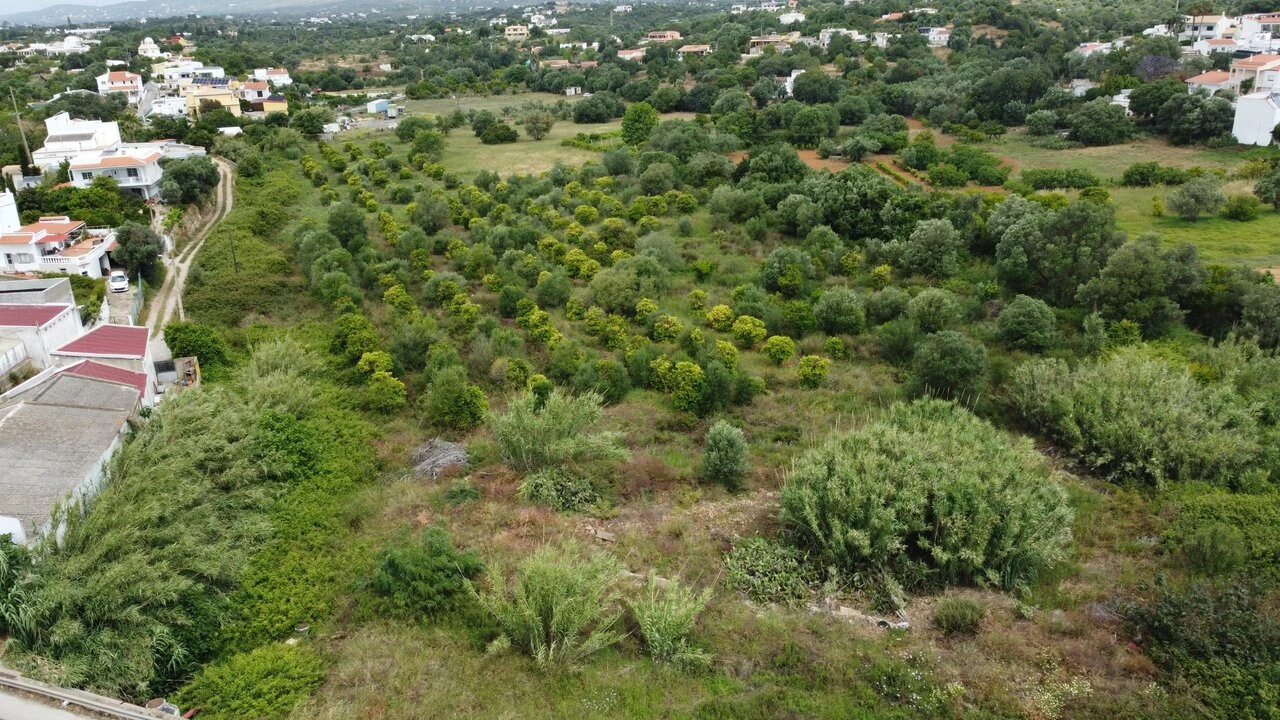 Terreno para Venda em Moncarapacho e Fuseta Foto 10