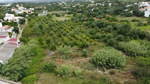 Terreno para Venda em Moncarapacho e Fuseta