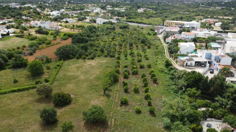 Terreno para Venda em Moncarapacho e Fuseta Foto 4
