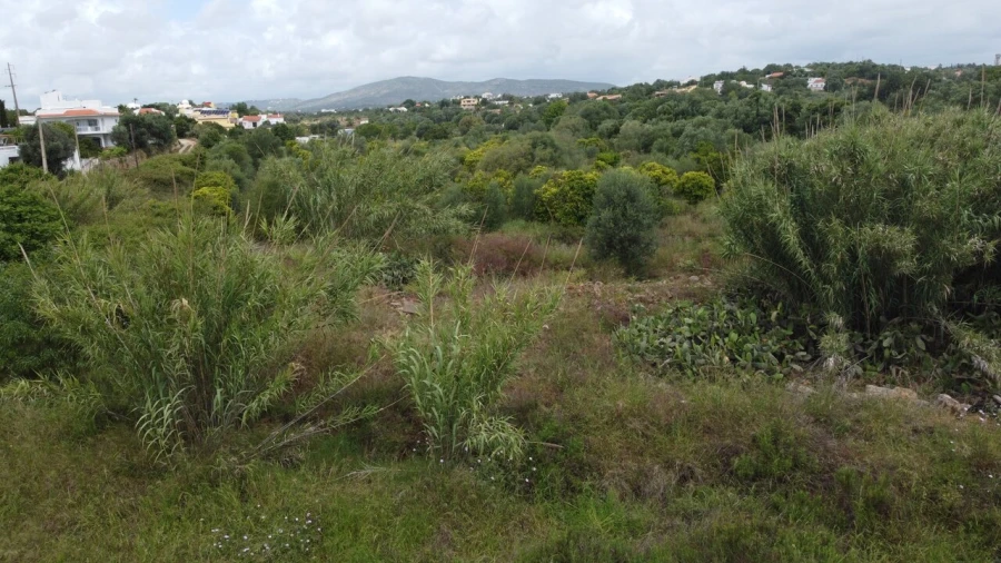 Terreno para Venda em Moncarapacho e Fuseta Foto 8