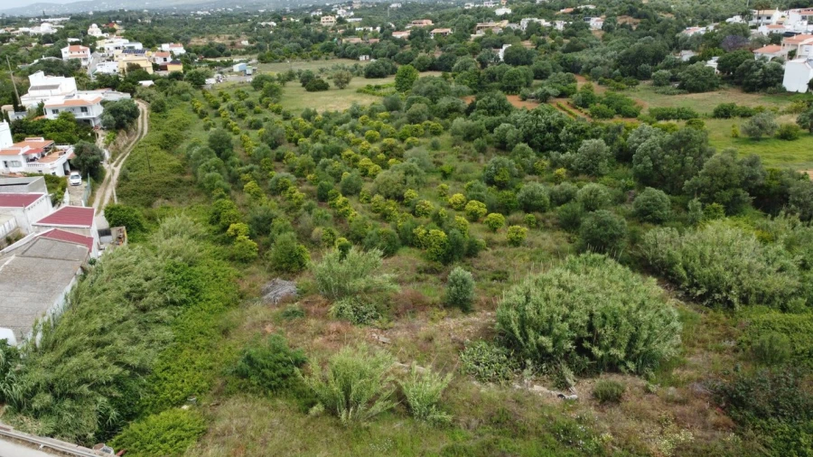 Terreno para Venda em Moncarapacho e Fuseta Foto 10