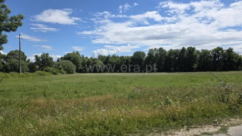 Terreno para Venda em Póvoa de Atalaia e Atalaia do Campo