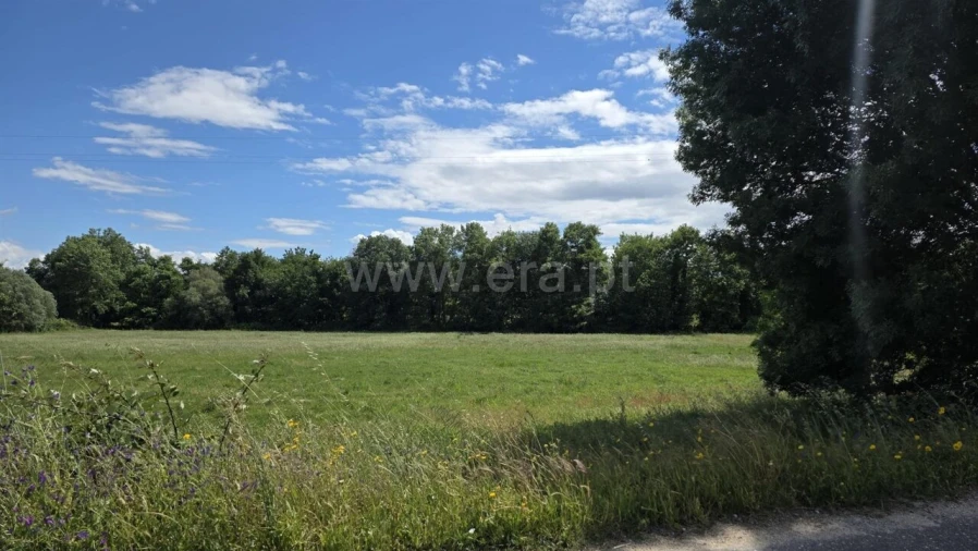 Terreno para Venda em Póvoa de Atalaia e Atalaia do Campo Foto 4