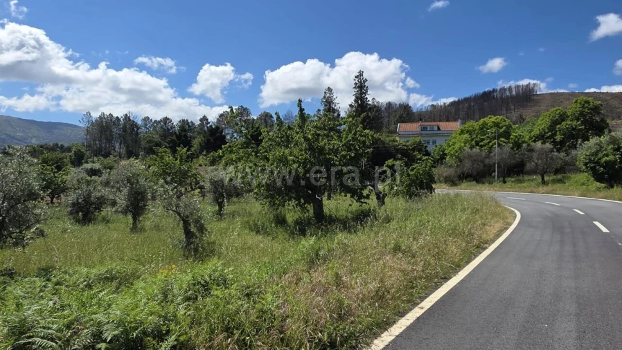 Terreno para Venda em Souto da Casa Foto 3