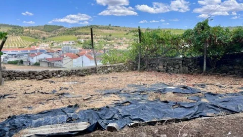 Moradia T3 para Venda em Freixo de Numão