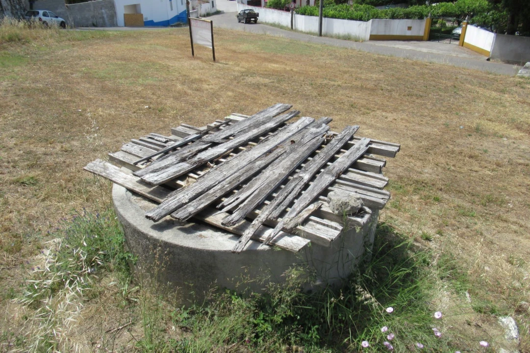 Terreno para Venda em Brogueira, Parceiros de Igreja e Alcorochel Foto 5