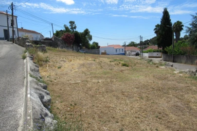 Terreno para Venda em Brogueira, Parceiros de Igreja e Alcorochel
