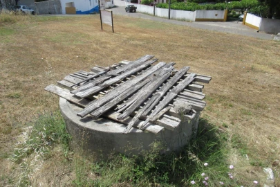 Terreno para Venda em Brogueira, Parceiros de Igreja e Alcorochel